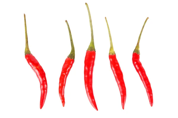Тайська червоний Гарячі перець чилі ізольовані — стокове фото