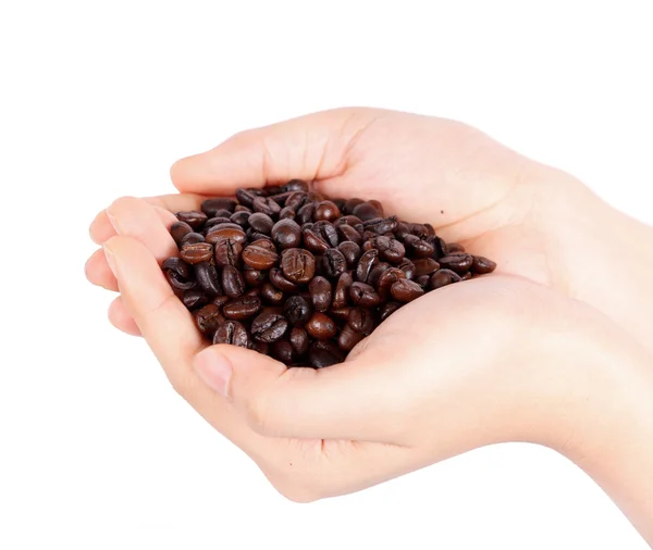 Mão segurando feijão de café arábica marrom isolado — Fotografia de Stock