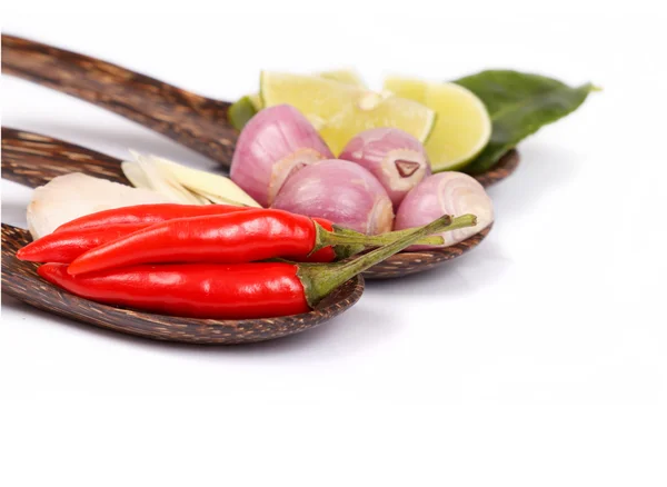 Spicy Thai food ingredients — Stock Photo, Image