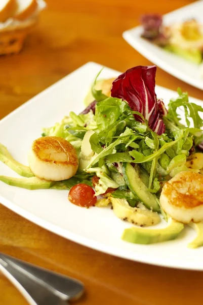 Vegetable salad with scallops — Stock Photo, Image