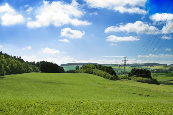 Sommarlandskap med grönt fält — Stockfoto