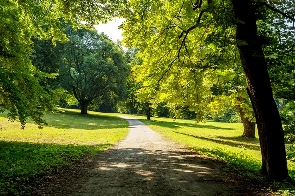 公園は夏に日当たりの良い道路 — ストック写真