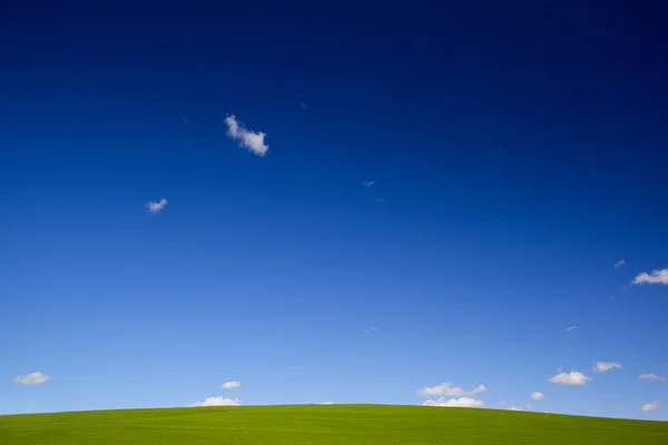 Groen gras en blauwe lucht — Stockfoto