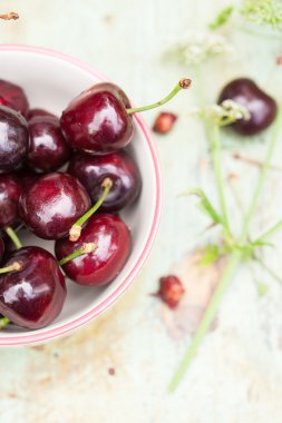 Bowl of cherries clipart