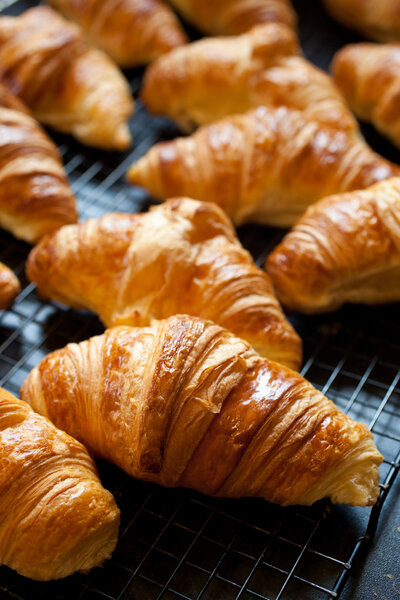 Fresh croissants