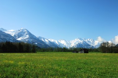 Frühling in den Bergen - Spring in the Alps.