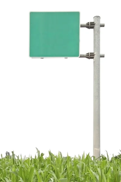 Дорожный знак и зеленая трава на белом изолированном фоне — стоковое фото