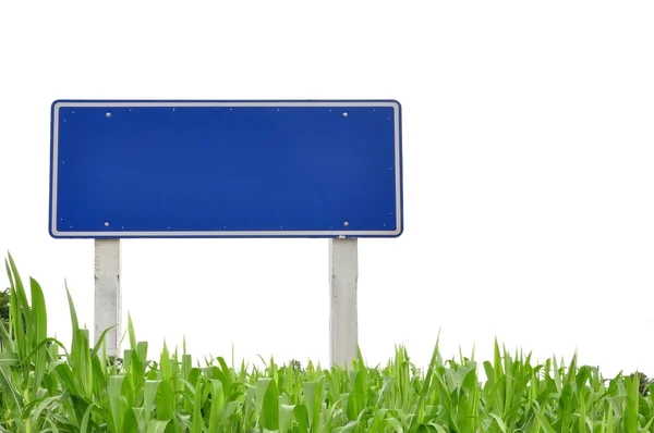 Traffic sign and grass — Stock Photo, Image