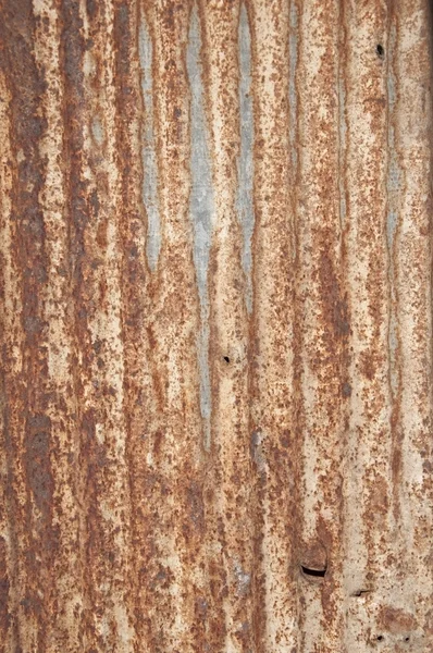 En una placa de zinc oxidado — Stockfoto