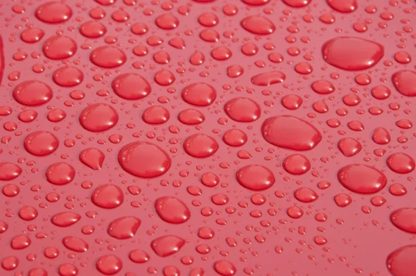 Vatten droplet på röd yta — Stockfoto