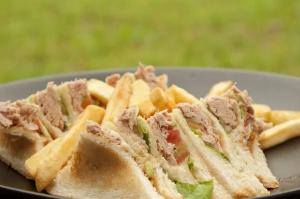 stock image Tuna sandwich