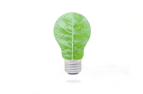 Green leaf lamp — Stock Photo, Image