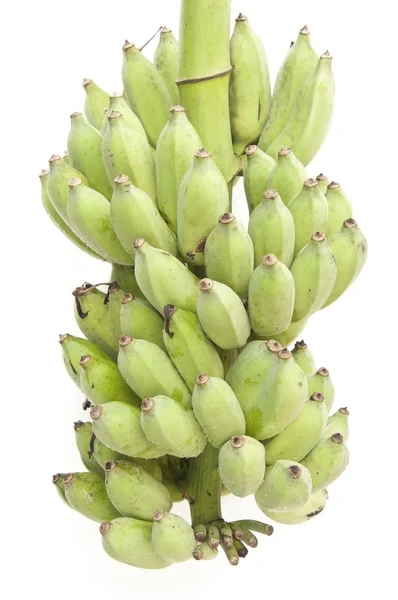 Owoce banan zielony kolor — Zdjęcie stockowe