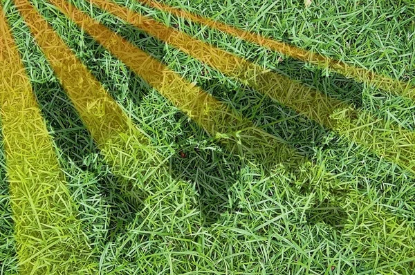 Weltkarte auf grünem Gras mit Sonnenstrahlen — Stockfoto