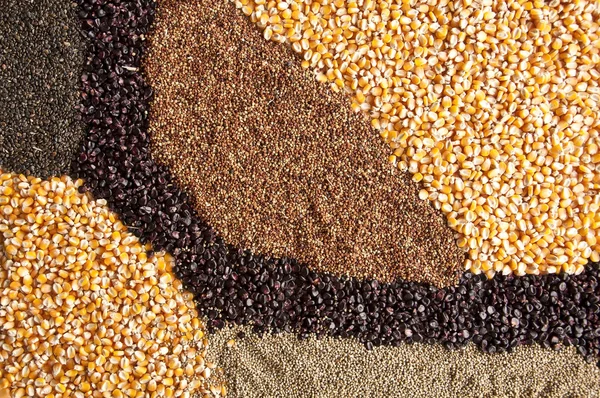 Mix seed texture background — Stock Photo, Image