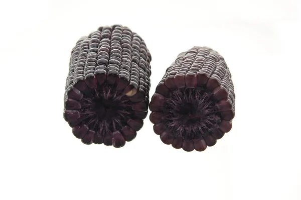 Violet color corn — Stock Photo, Image