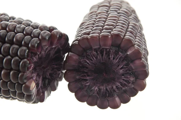 Фіолетовий колір кукурудзи — стокове фото