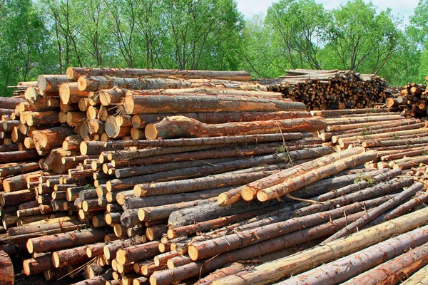 Holzbearbeitung — Stockfoto