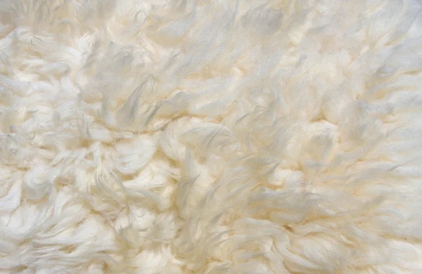 Produkowane skóry owiec — Zdjęcie stockowe