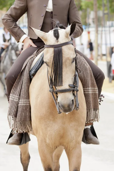 Horserman と馬 — ストック写真