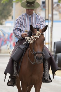 Typical Andalusian horseman clipart