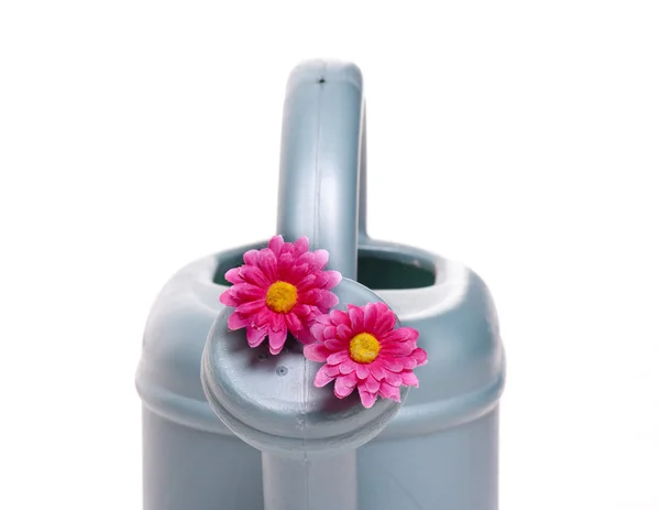 Irrigatore con fiore rosa — Foto Stock