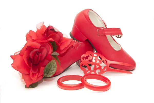 Flamenca flor — Fotografia de Stock