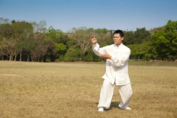 Kung fu homem — Fotografia de Stock