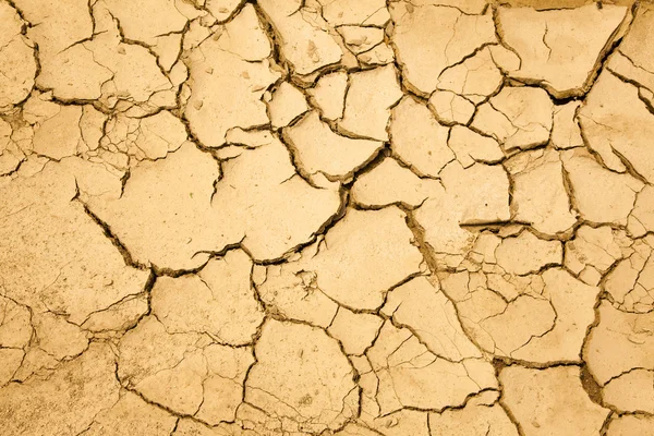 Época seca com chão rachado — Fotografia de Stock