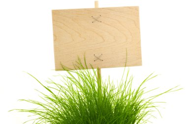 Empty wooden Sign with green Grass / isolated on white clipart