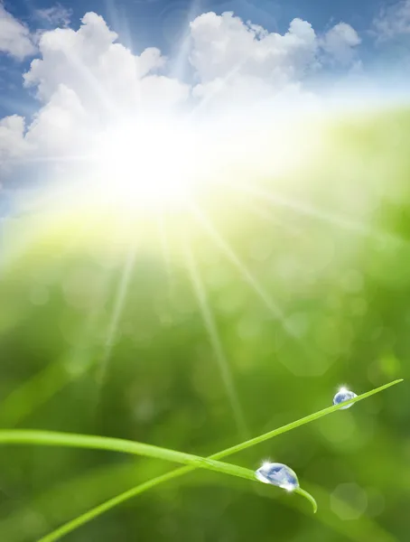 Eco tabiat arka plan çimen, güneş ve mavi gökyüzü yansımaları ile ben — Stok fotoğraf