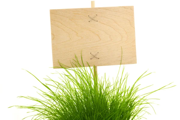 Houten bord met groen gras leeg / geïsoleerd op wit — Stockfoto