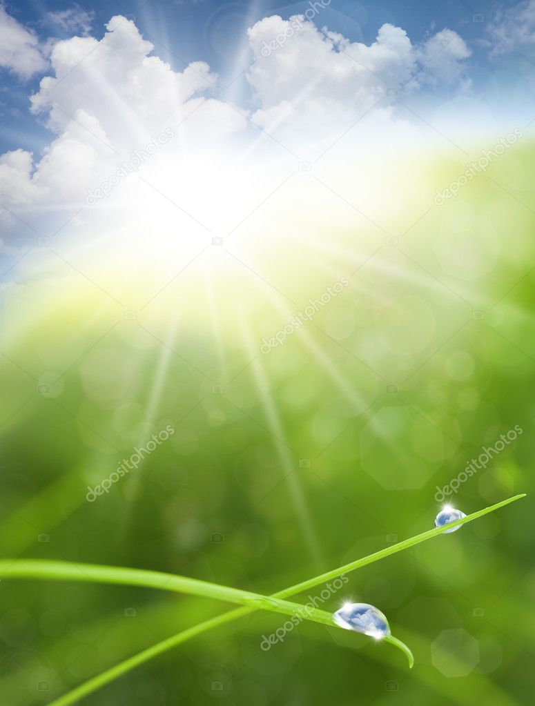 Eco Nature Background with Grass, Sun and Blue Sky Reflections i