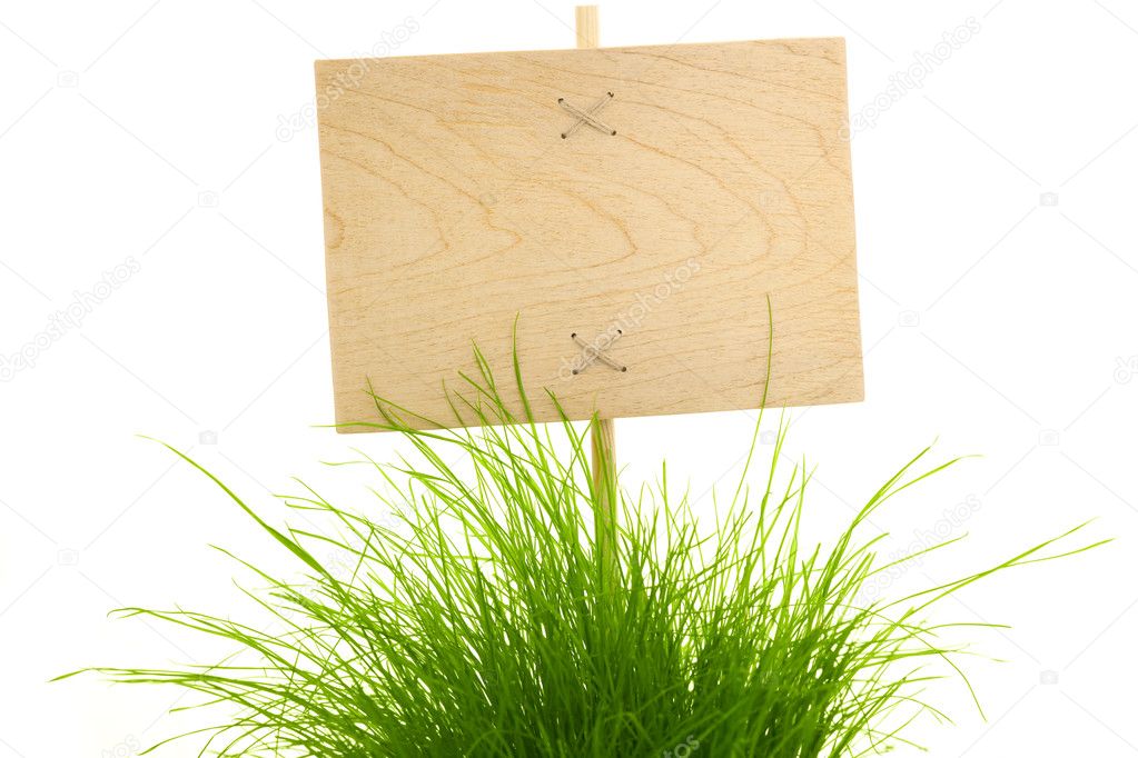 Empty wooden Sign with green Grass / isolated on white