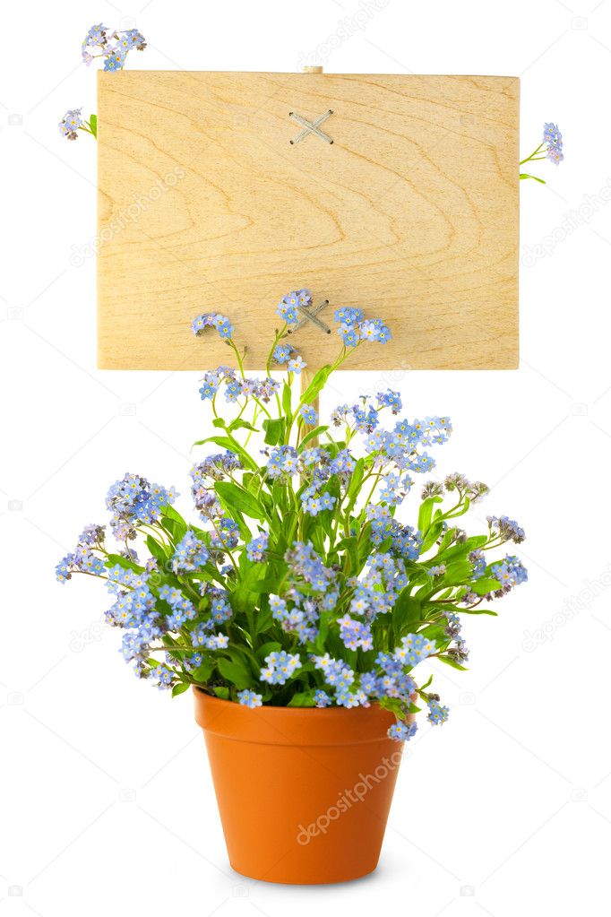Wood Sign with Flowers / empty board for your text / isolated o