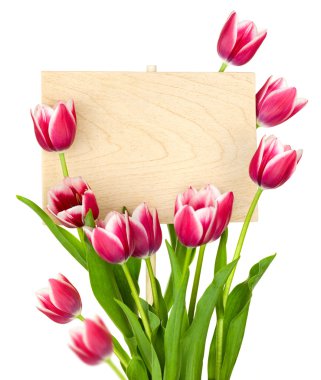 Beautiful Tulips and Empty Sign for message / wooden panel / iso clipart