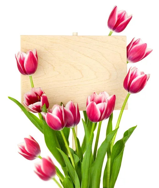 Hermosos tulipanes y signo vacío para mensaje / panel de madera / iso — Foto de Stock