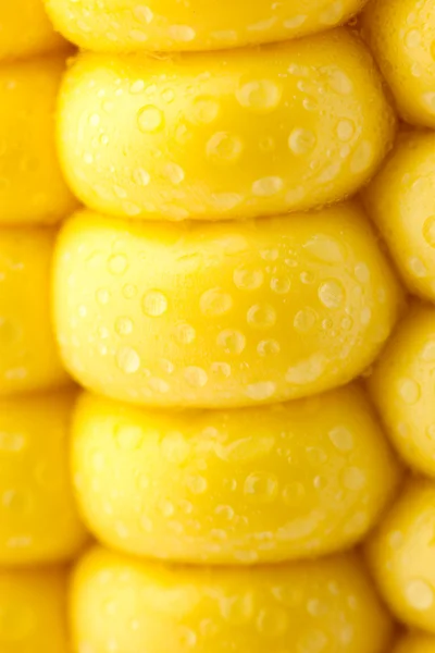 Grãos de milho maduro / macro extrema / fundo amarelo — Fotografia de Stock