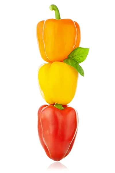 Pimentos coloridos / Páprica / Isolados sobre fundo branco — Fotografia de Stock