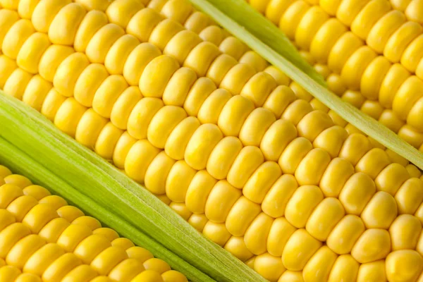 Korrels van rijp maïs / Macro — Stockfoto