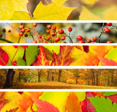 Set of 5 Different Autumn's Banners clipart