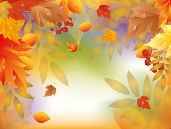 Осіння листівка з кленовим листям. Векторна ілюстрація — стоковий вектор