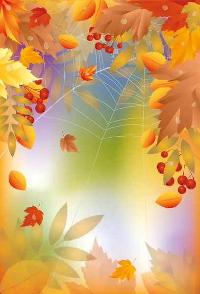 Banner de otoño con tela de araña, ilustración vectorial — Archivo Imágenes Vectoriales