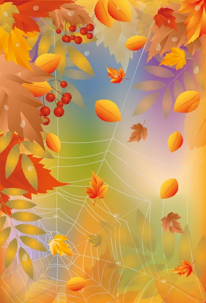 Cartão de outono com teia de aranha, ilustração vetorial — Vetor de Stock