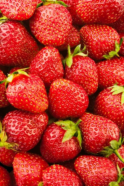 신선한 딸기 로열티 프리 스톡 사진