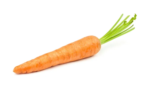 Zanahoria sola —  Fotos de Stock