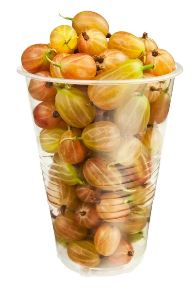 stock image Gooseberry