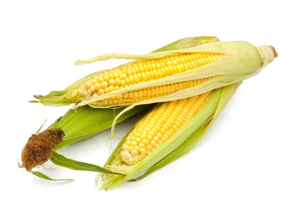 Grupo de maíz —  Fotos de Stock