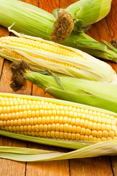 Corn group — Stock Photo, Image