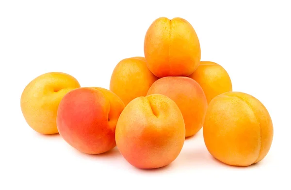 Aprikosengruppe — Stockfoto